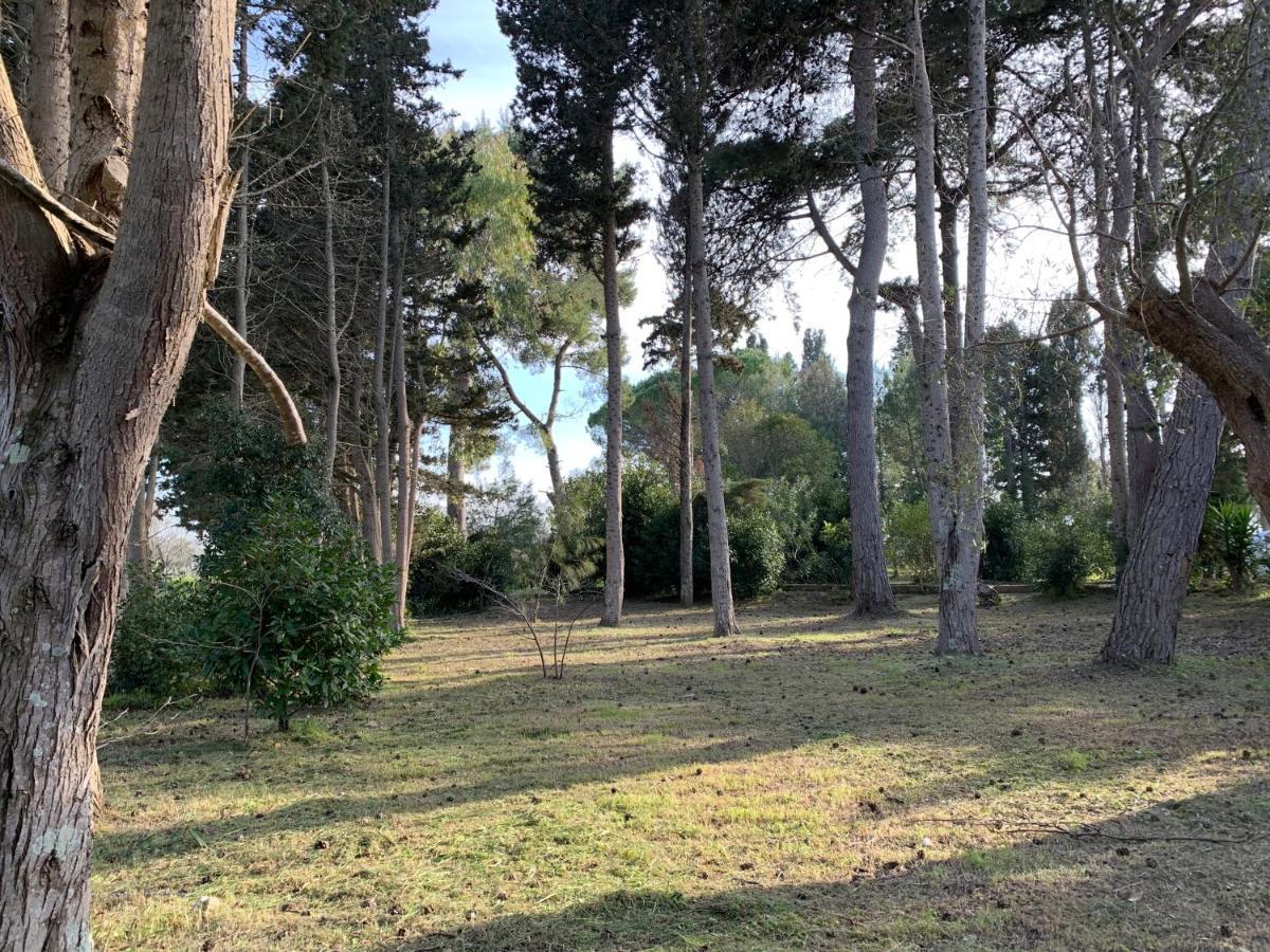 Eden Monolocale Torre Dell Orso Daire Torre dell'Orso Dış mekan fotoğraf